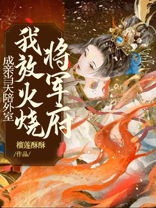 成亲当天陪外室，我放火烧将军府 cover