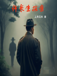 许长生探案 cover