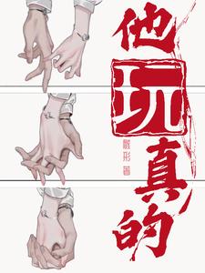 他玩真的 cover