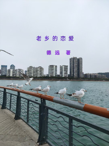 老乡的恋爱 cover