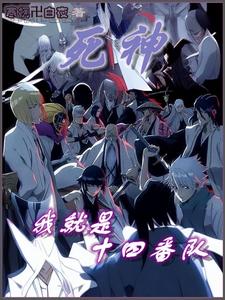 死神:我就是十四番队 cover
