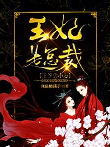王妃是总裁，王爷您小心 cover