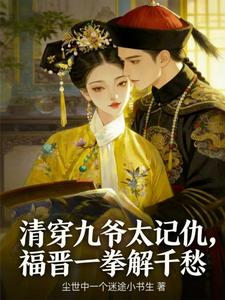 清穿九爷太记仇，福晋一拳解千愁 cover