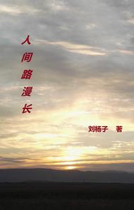 人间路漫长 cover