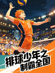 排球少年之制霸全国 cover