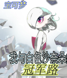 宝可梦:我与白色沙奈朵的冠军路 cover