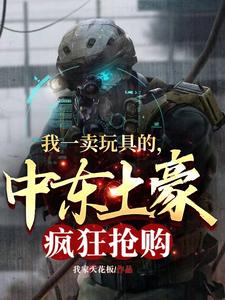 我一卖玩具的,中东土豪疯狂抢购 cover