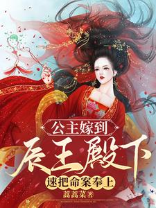 公主嫁到，辰王殿下速把命案奉上 cover