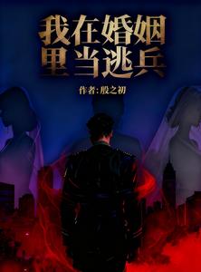 我在婚姻里当逃兵 cover