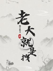 老大就是拽 cover