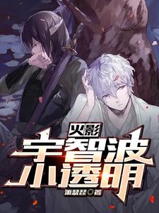 火影:宇智波小透明 cover