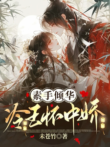 素手倾华：冷王怀中娇 cover