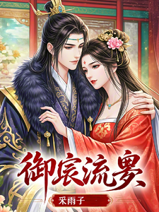 御宸流影 cover
