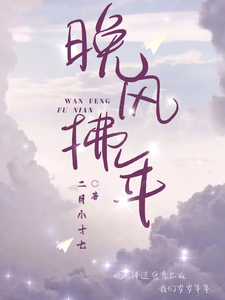 晚风拂年 cover