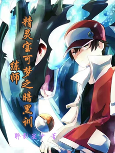 精灵宝可梦之暗黑训练家 cover