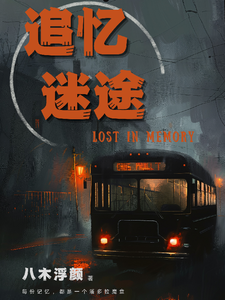 追忆迷途 cover