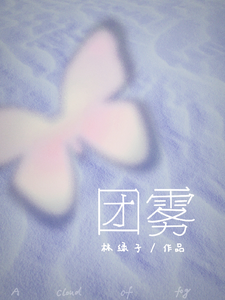 团雾 cover