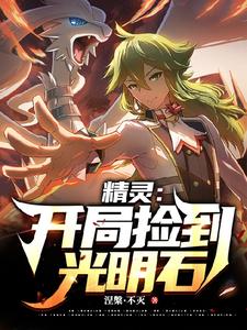 精灵：开局捡到光明石 cover