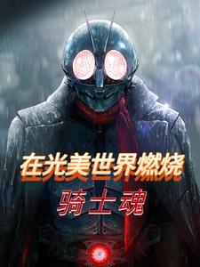 在光美世界燃烧骑士魂 cover