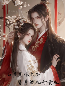 白月光嫁太子后，替身侧妃升贵妃 cover