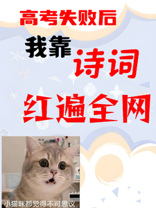 高考失败后,我靠诗词红遍全网 cover
