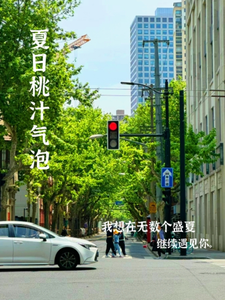 夏日桃汁气泡 cover