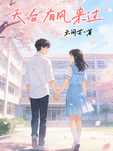 天台有风来过 cover