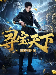 寻宝天下 cover