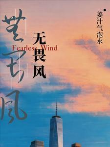 无畏风 cover
