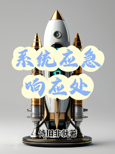 系统应急响应处 cover