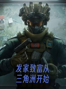 发家致富从三角洲开始 cover