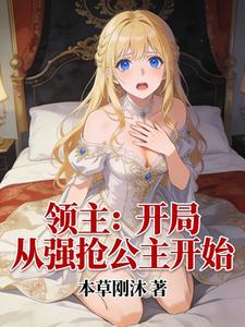 A Lord: Start by Forcibly Stealing the Princess cover