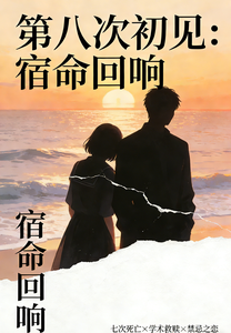 第八次初见：宿命回响 cover