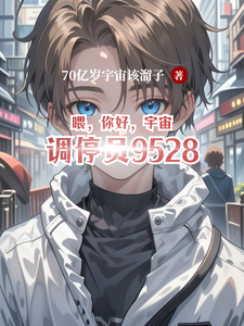 喂,你好,宇宙调停员9528 cover