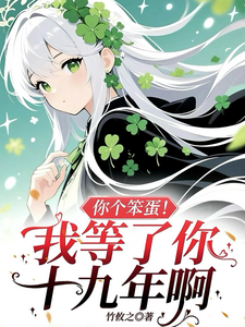 You Idiot! I’ve Waited for You for Nineteen Years cover
