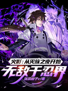 火影：从灭族之夜开始无敌于忍界 cover