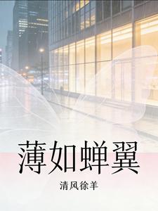 薄如蝉翼 cover