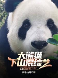 大熊猫下山混综艺,C位出圈啦! cover