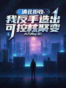 清北拒收，我反手造出可控核聚变 cover