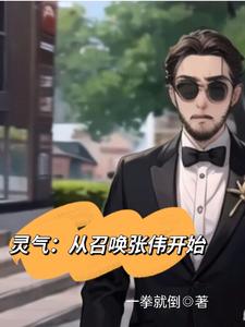 灵气:从召唤张伟开始 cover