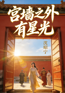 宫墙之外有星光 cover