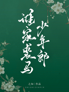 谁家裘马少年郎 cover