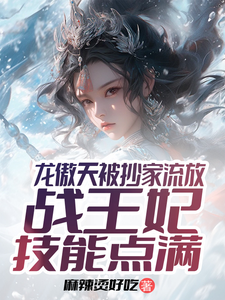 龙傲天被抄家流放战王妃技能点满 cover
