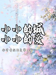 小小的城小小的爱 cover