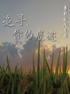 追寻,你的痕迹 cover