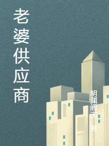 老婆供应商 cover