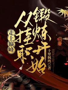 走上巅峰：从挂职锻炼开始 cover
