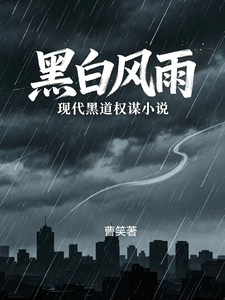 黑白风雨 cover