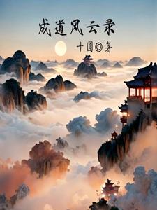 成道风云录 cover