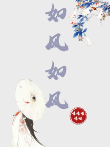 如风如风 cover